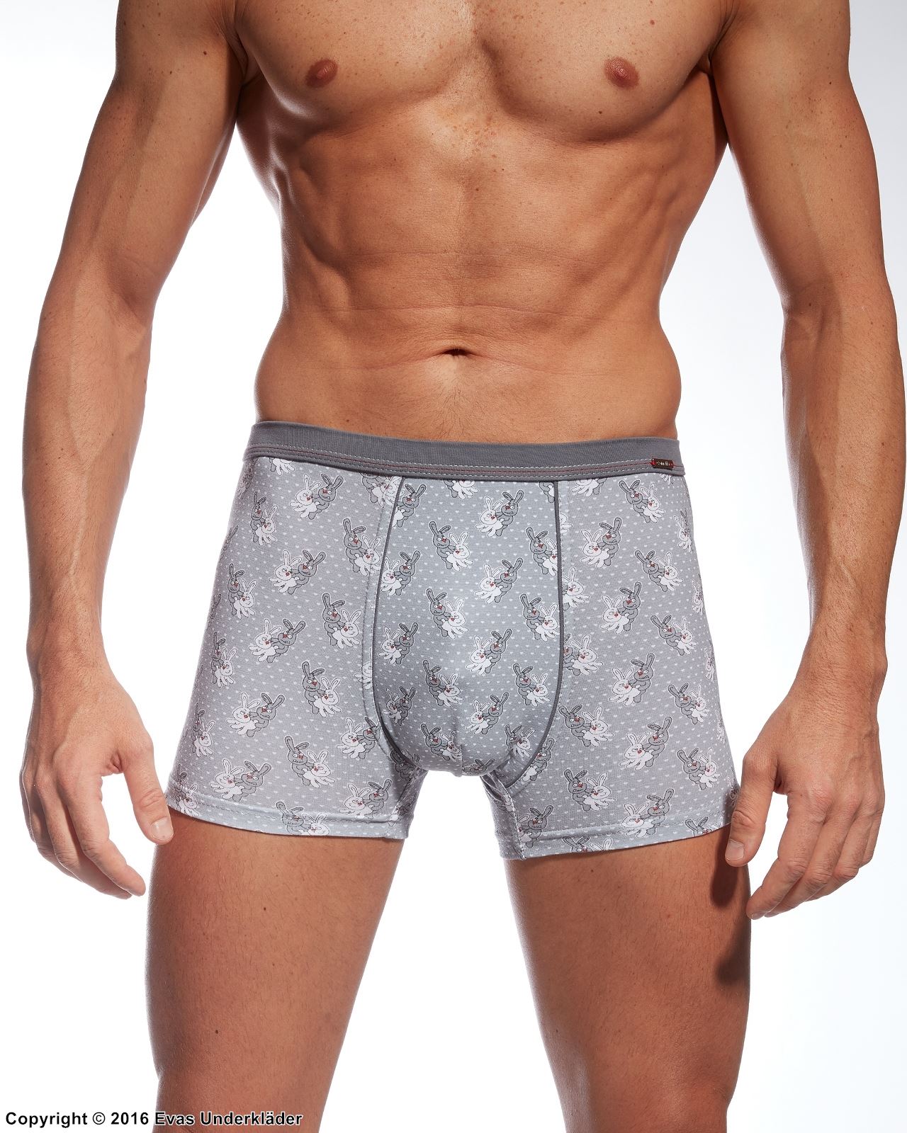 Underbukser / boxershorts